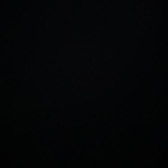 Meet your Posher, Lily - Picture 1 of 1